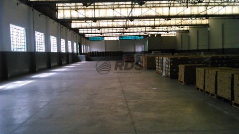 Foto Galpão / Depósito / Armazém / Pavilhão