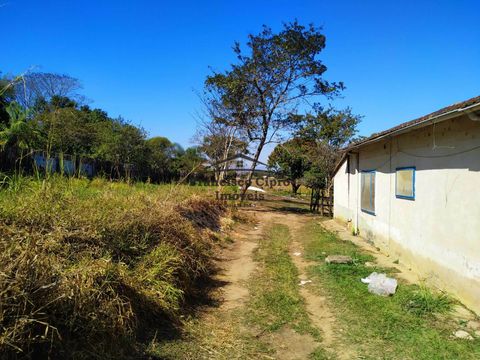 Foto Fazenda / Sítio / Chácara