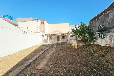 Foto Terreno