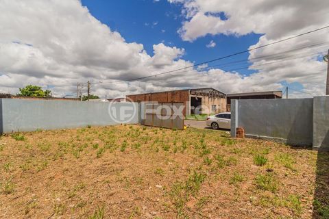 Foto Galpão / Depósito / Armazém / Pavilhão