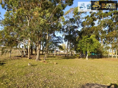Foto Fazenda / Sítio / Chácara