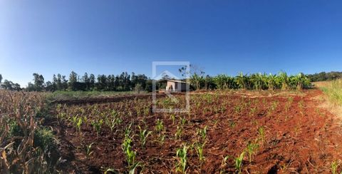 Foto Fazenda / Sítio / Chácara