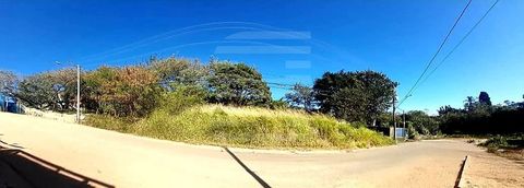 Foto Terreno
