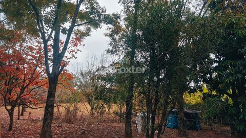 Foto Fazenda / Sítio / Chácara