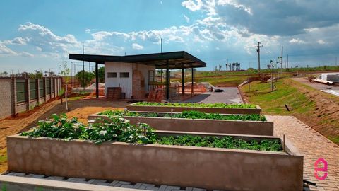 Foto Terreno