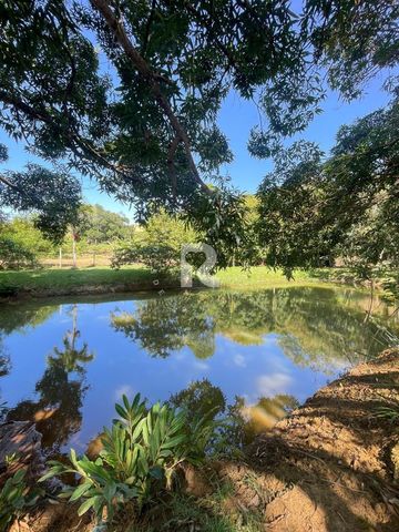 Foto Fazenda / Sítio / Chácara