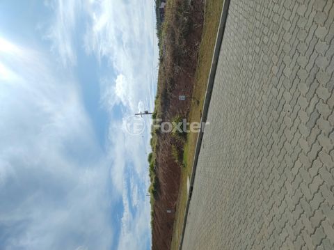 Foto Terreno