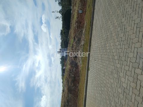 Foto Terreno