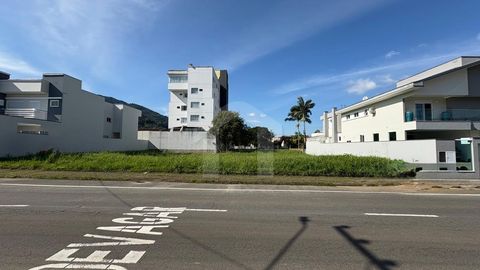 Foto Terreno