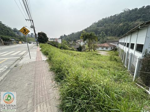 Foto Terreno