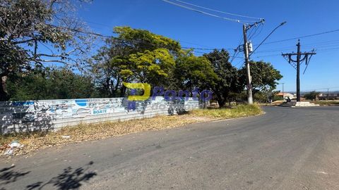 Foto Terreno