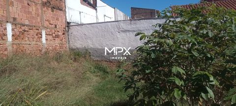 Foto Terreno