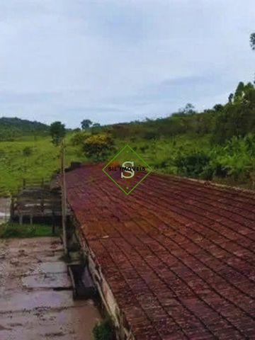 Foto Fazenda / Sítio / Chácara