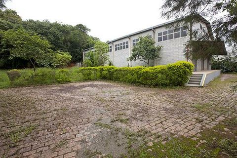 Foto Galpão / Depósito / Armazém / Pavilhão