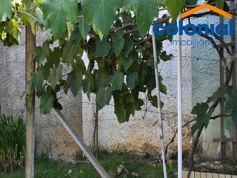 Foto Fazenda / Sítio / Chácara