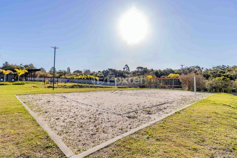 Foto Terreno