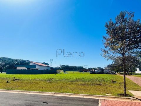 Foto Terreno