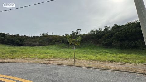 Foto Terreno