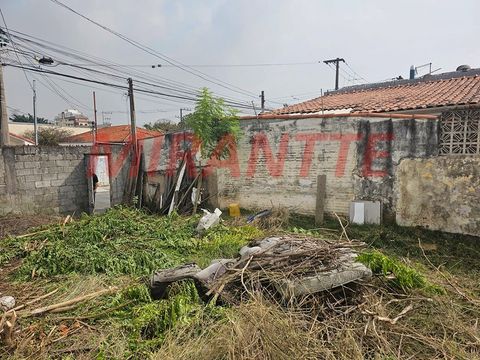 Foto Terreno