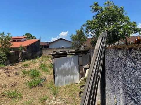 Foto Terreno
