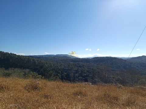Foto Fazenda / Sítio / Chácara