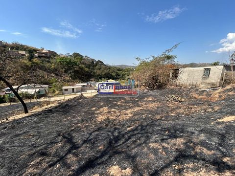 Foto Terreno