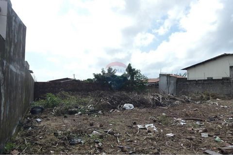 Foto Terreno