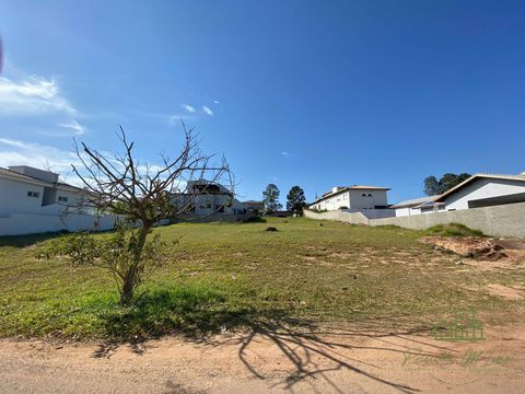 Foto Terreno