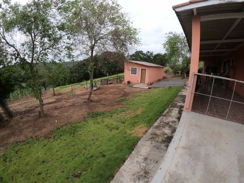 Foto Fazenda / Sítio / Chácara