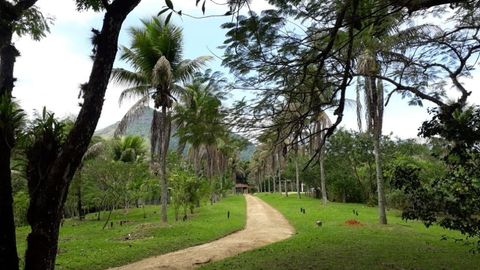 Foto Fazenda / Sítio / Chácara