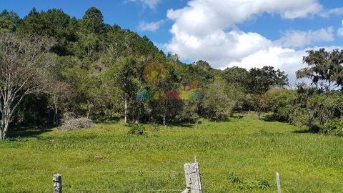 Foto Fazenda / Sítio / Chácara