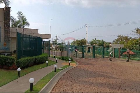 Foto Terreno