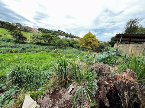 Foto Terreno