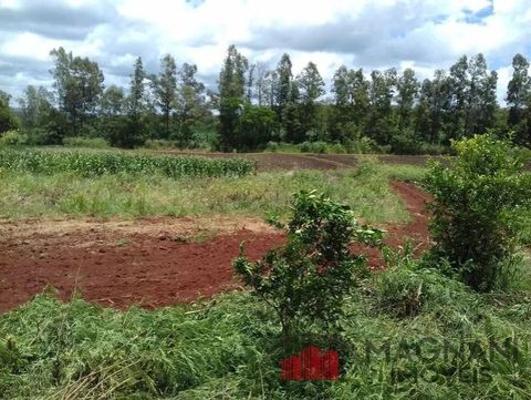 Foto Fazenda / Sítio / Chácara