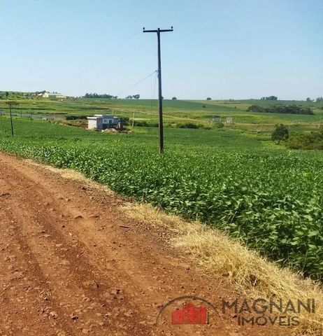 Foto Fazenda / Sítio / Chácara