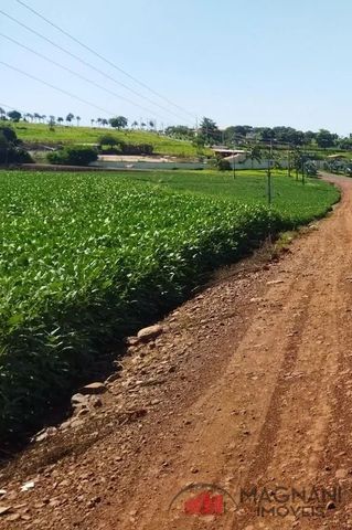 Foto Fazenda / Sítio / Chácara