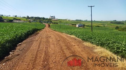 Foto Fazenda / Sítio / Chácara