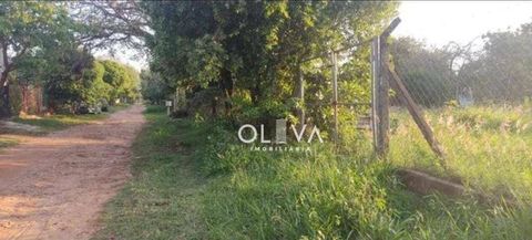 Foto Fazenda / Sítio / Chácara
