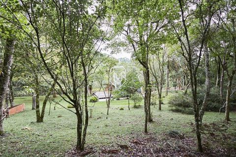 Foto Fazenda / Sítio / Chácara