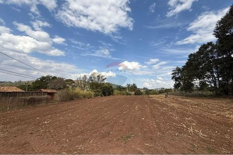Foto Terreno