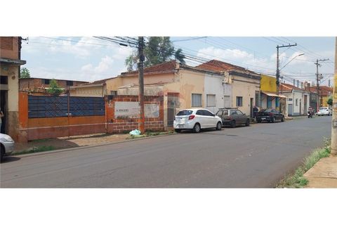 Foto Terreno