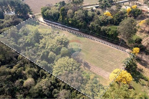 Foto Fazenda / Sítio / Chácara