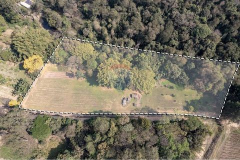 Foto Fazenda / Sítio / Chácara