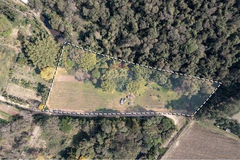 Foto Fazenda / Sítio / Chácara