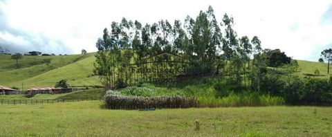 Foto Fazenda / Sítio / Chácara