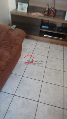 Foto Terreno
