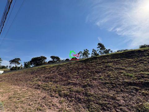 Foto Terreno