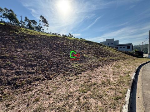 Foto Terreno