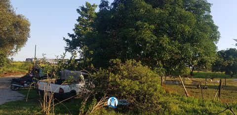 Foto Fazenda / Sítio / Chácara