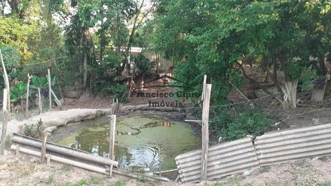 Foto Fazenda / Sítio / Chácara